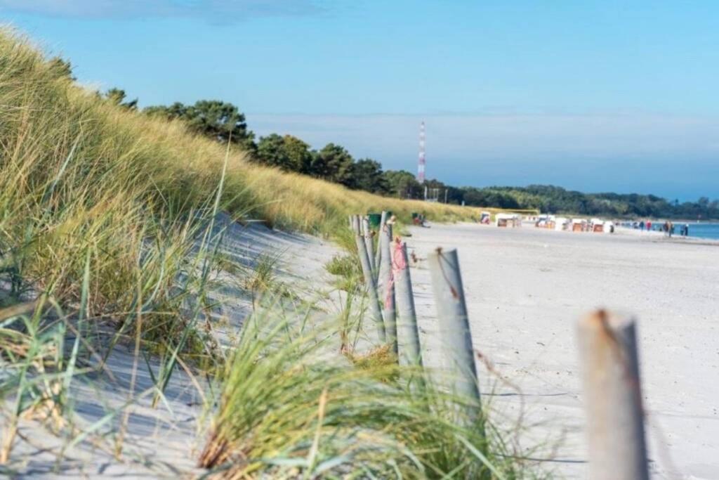 Ferienhaus Sanddorn Breege- Zwischen Bodden & Meer Eksteriør bilde